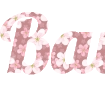 创建樱花花瓣背景文字 - 使用 Lobster 字体 PNG 格式