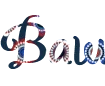精美 PNG 字体生成器