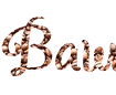 精美 PNG 字体生成器